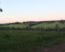 The rolling hills of Nannup