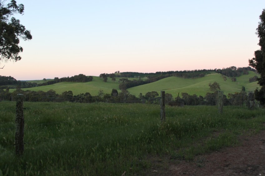 The rolling hills of Nannup