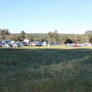 Part of the camping grounds