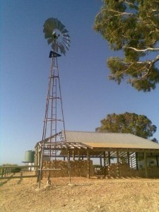 The hill top aid station in daylight.